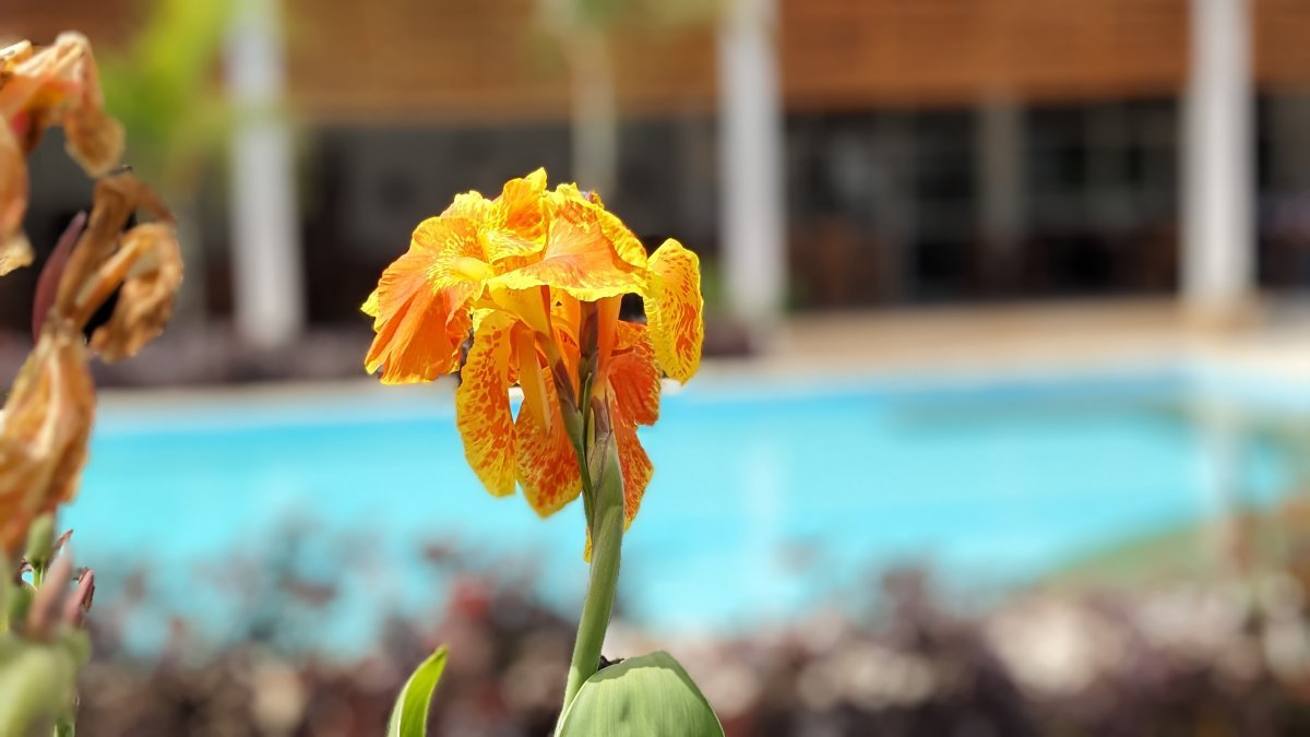 Long Stay Discount — 7 Nights or More